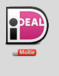 Veilig online betalen