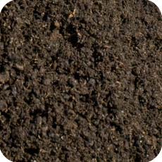 Zwarte grond